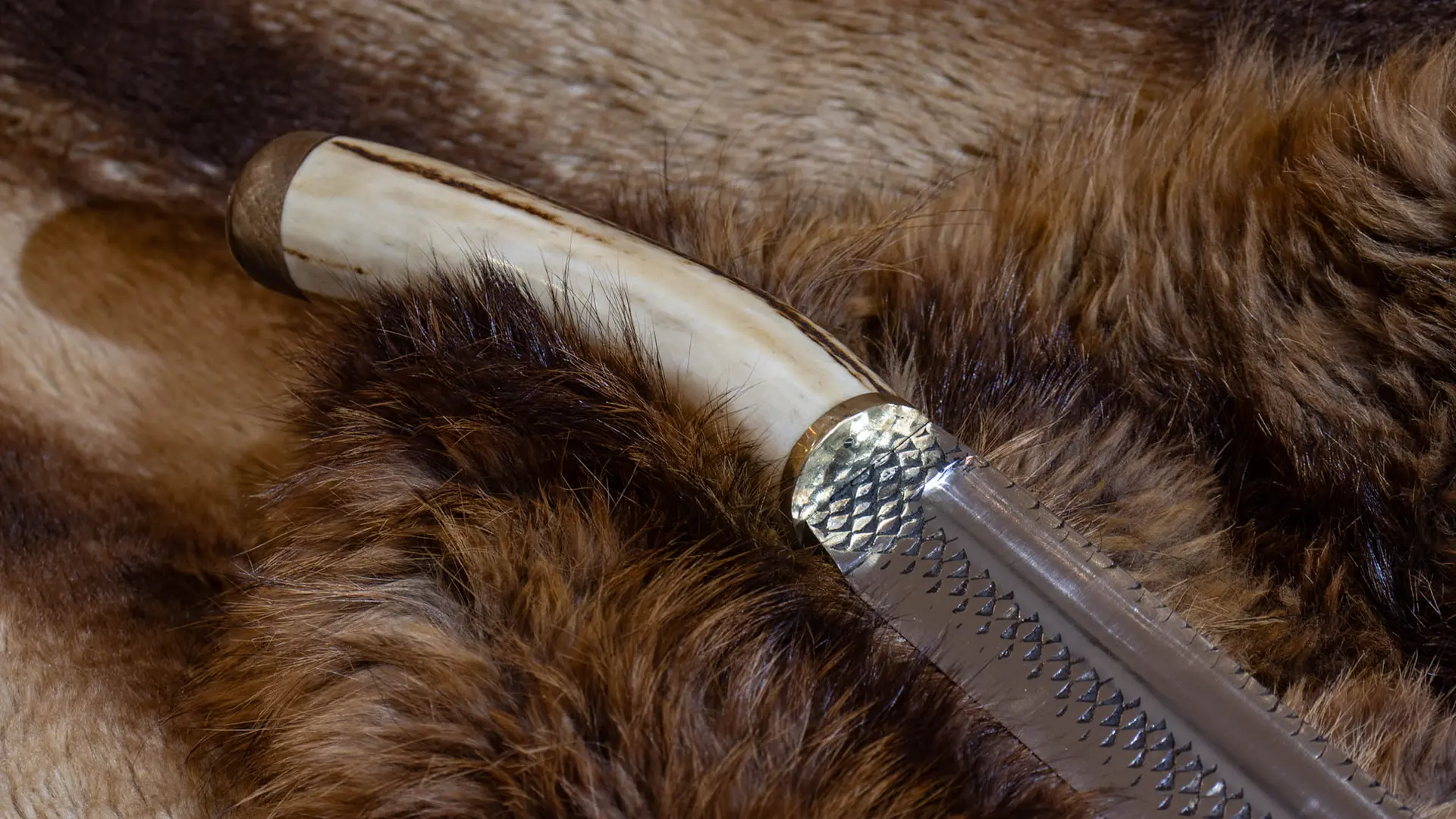 scamasaxe scandinave