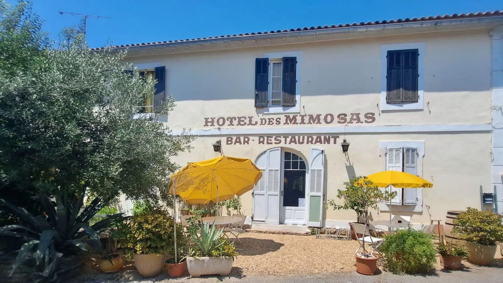 Hôtel des Mimosas