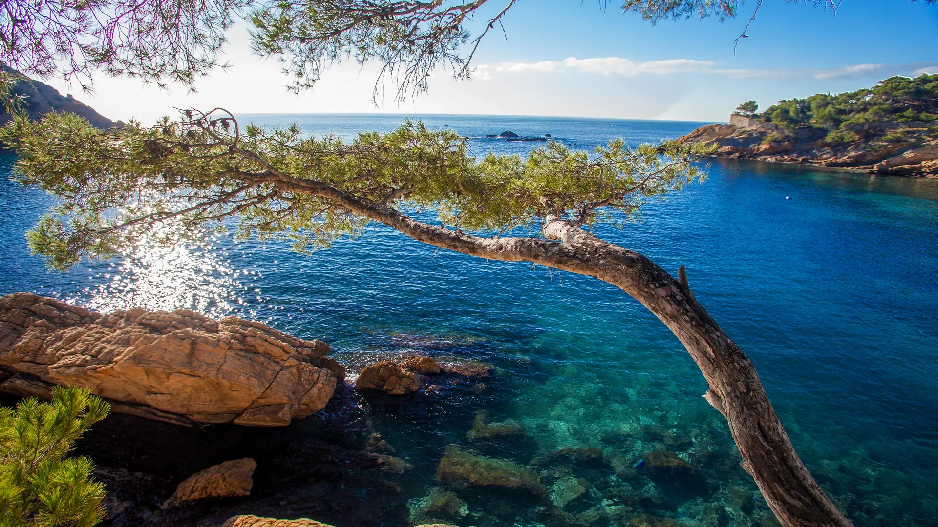 Sur la Côte Bleue