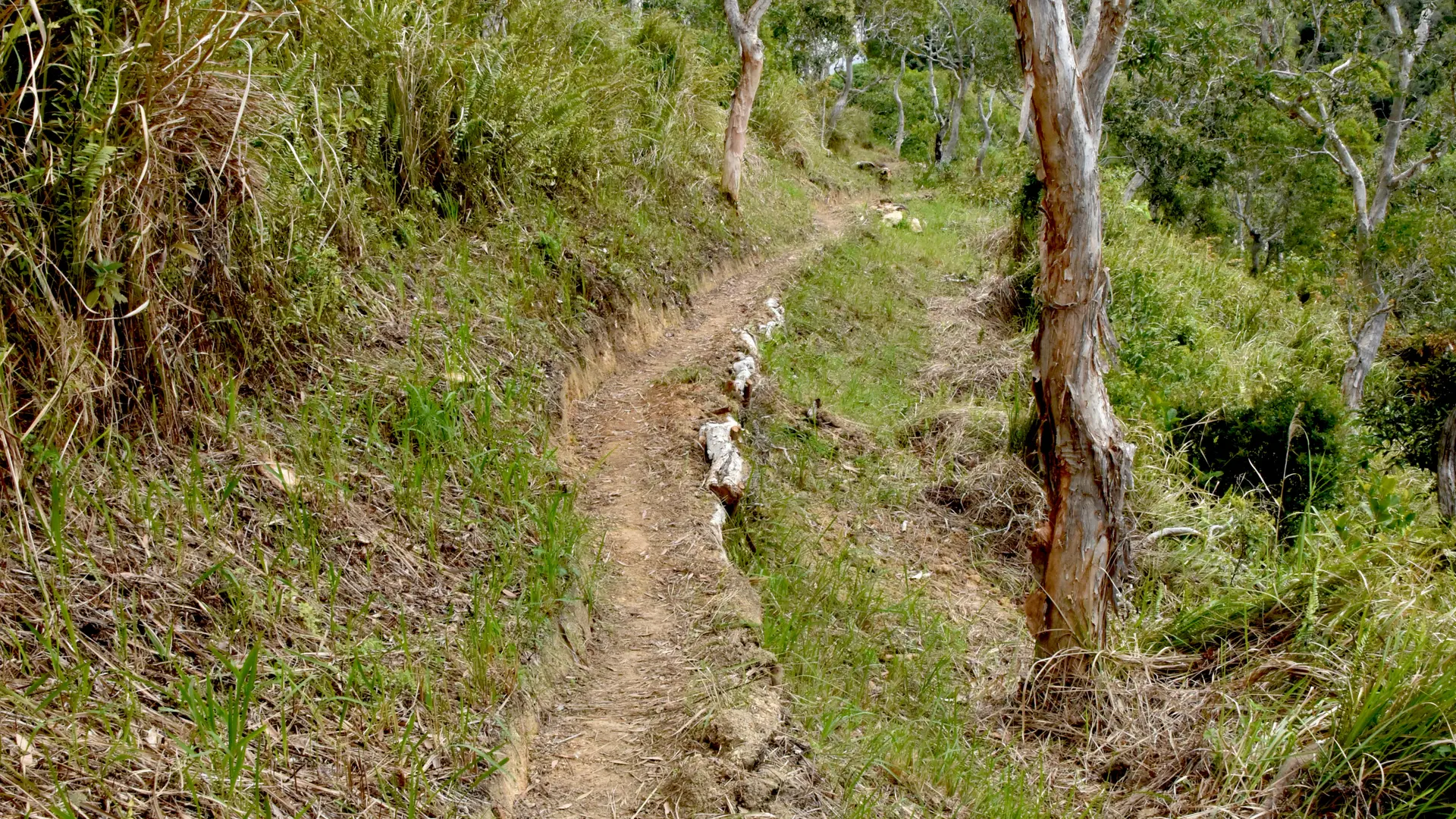 Descente vers la tribu de Tchamba