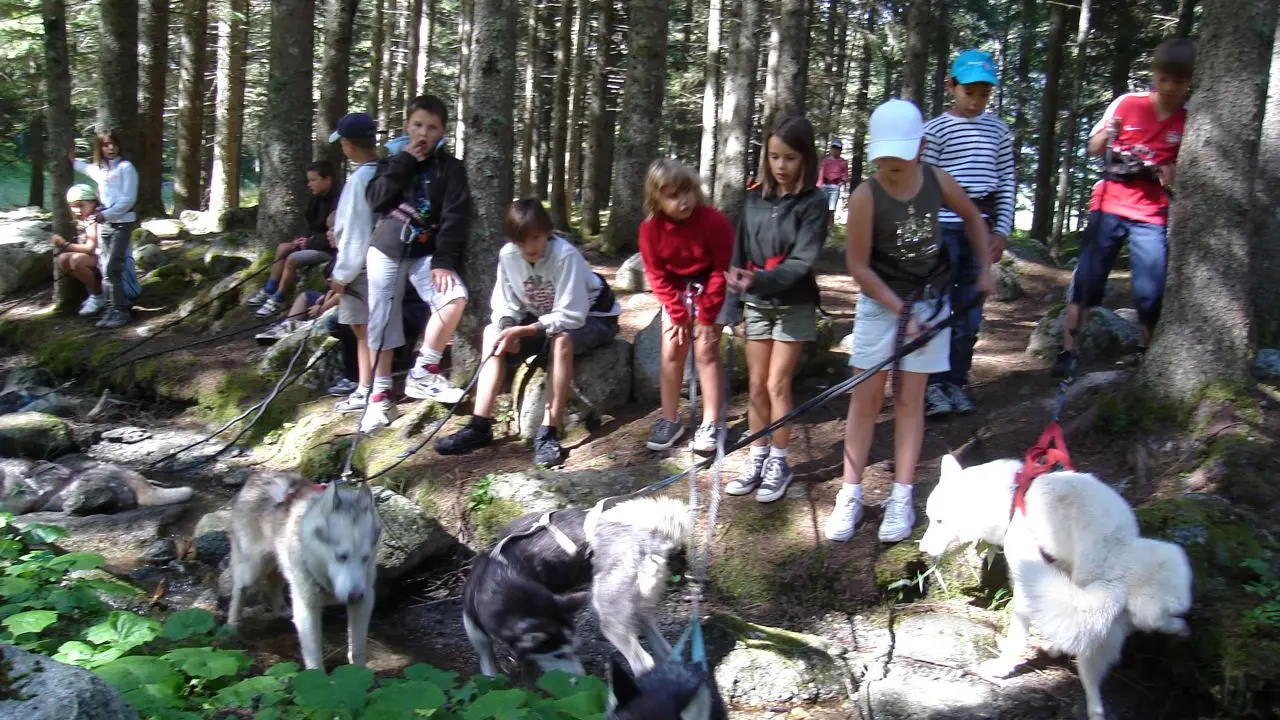 Cie des Guides JUNIORS - Programmes été Kids 8/12ans
