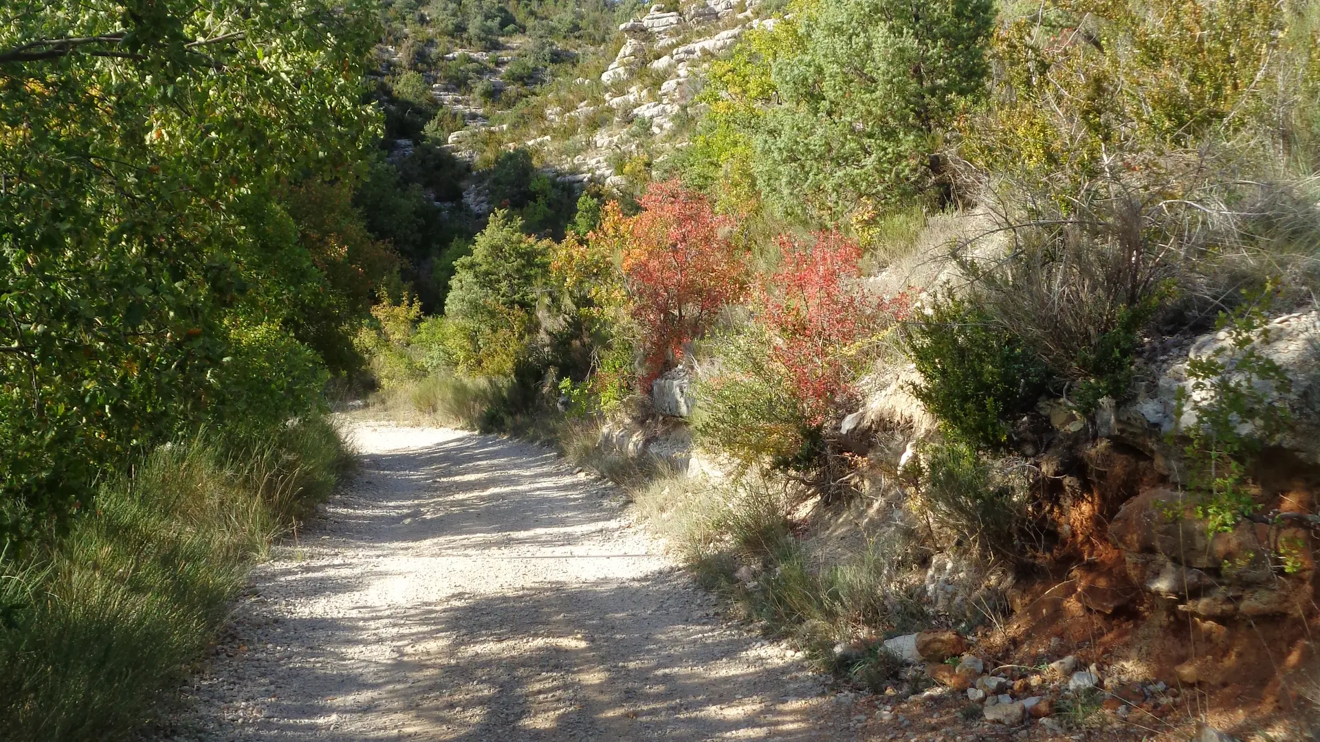Piste de Saint Sauveur