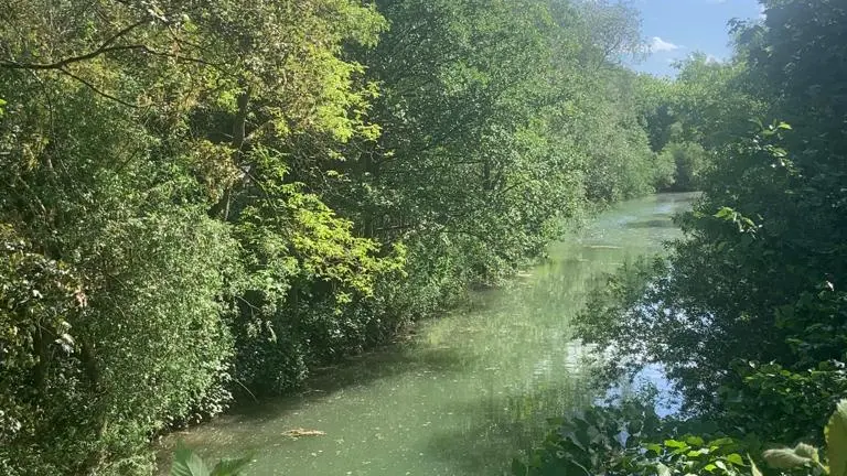 Berges de Seine Maisons-Laffitte