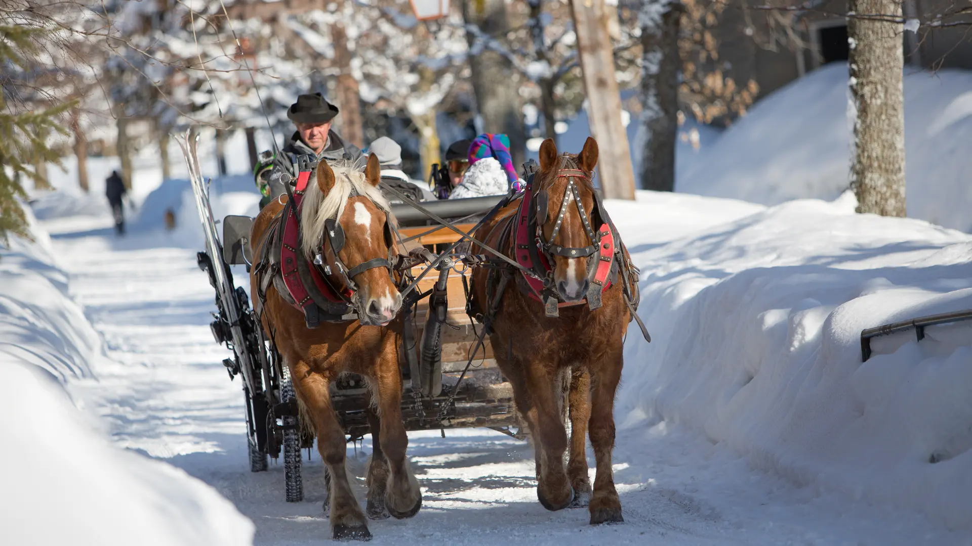 Calèches hiver