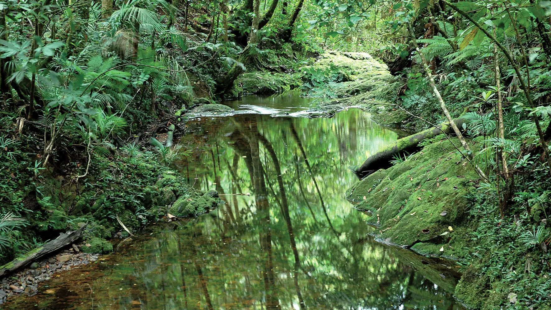Le creek Dogny (entre les points n°5 et n°6).