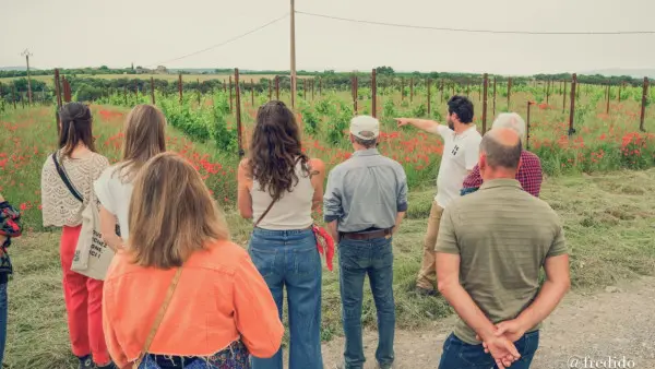 Visit winery and lavender farm
