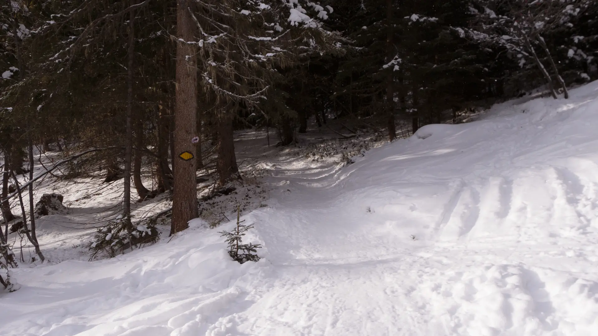 Sentier raquette N°2 - La Tzoumaz
