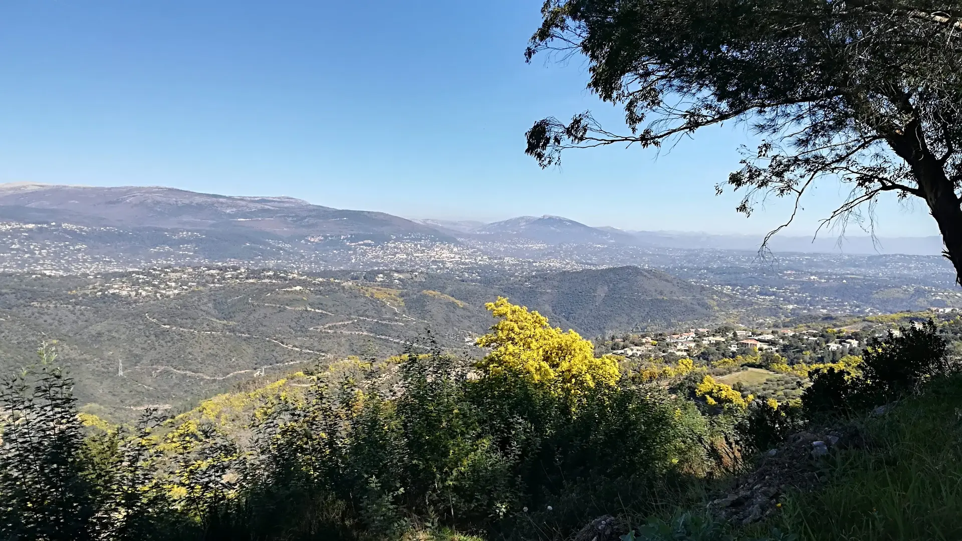 Vue