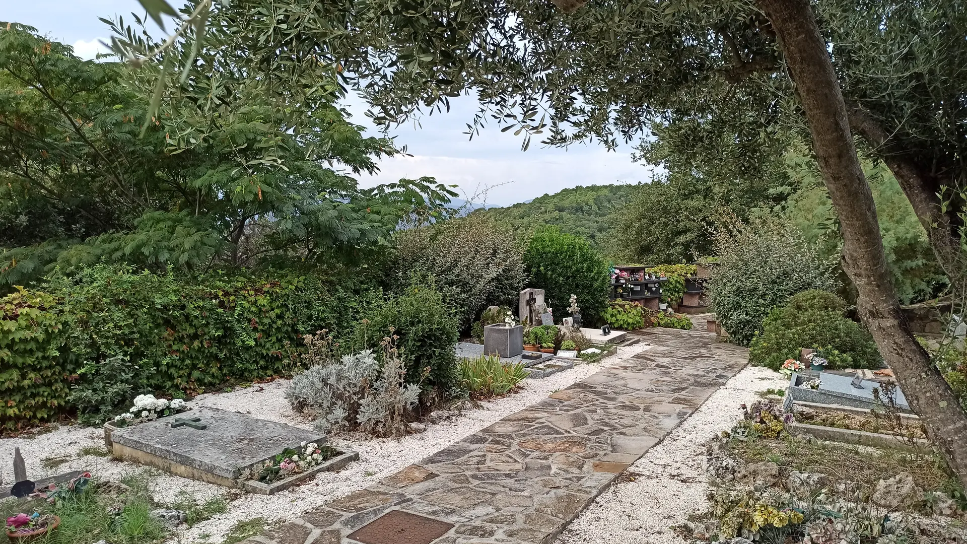 Vue générale du cimetière de Gassin - https://gassin.eu