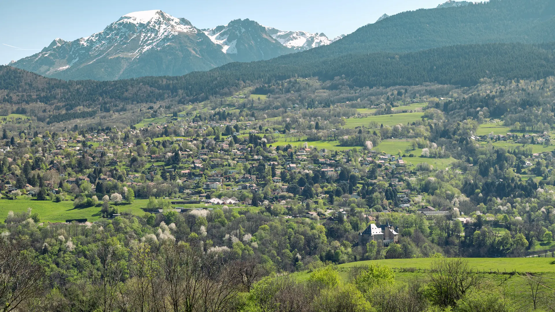 Le paysage est une vue aérienne d'une vaste forêt dense occupant le premier plan et le milieu, bordée à droite par une zone de verdure plus claire et surmontée par des montagnes aux sommets partiellement enneigés sous un ciel bleu dégagé.