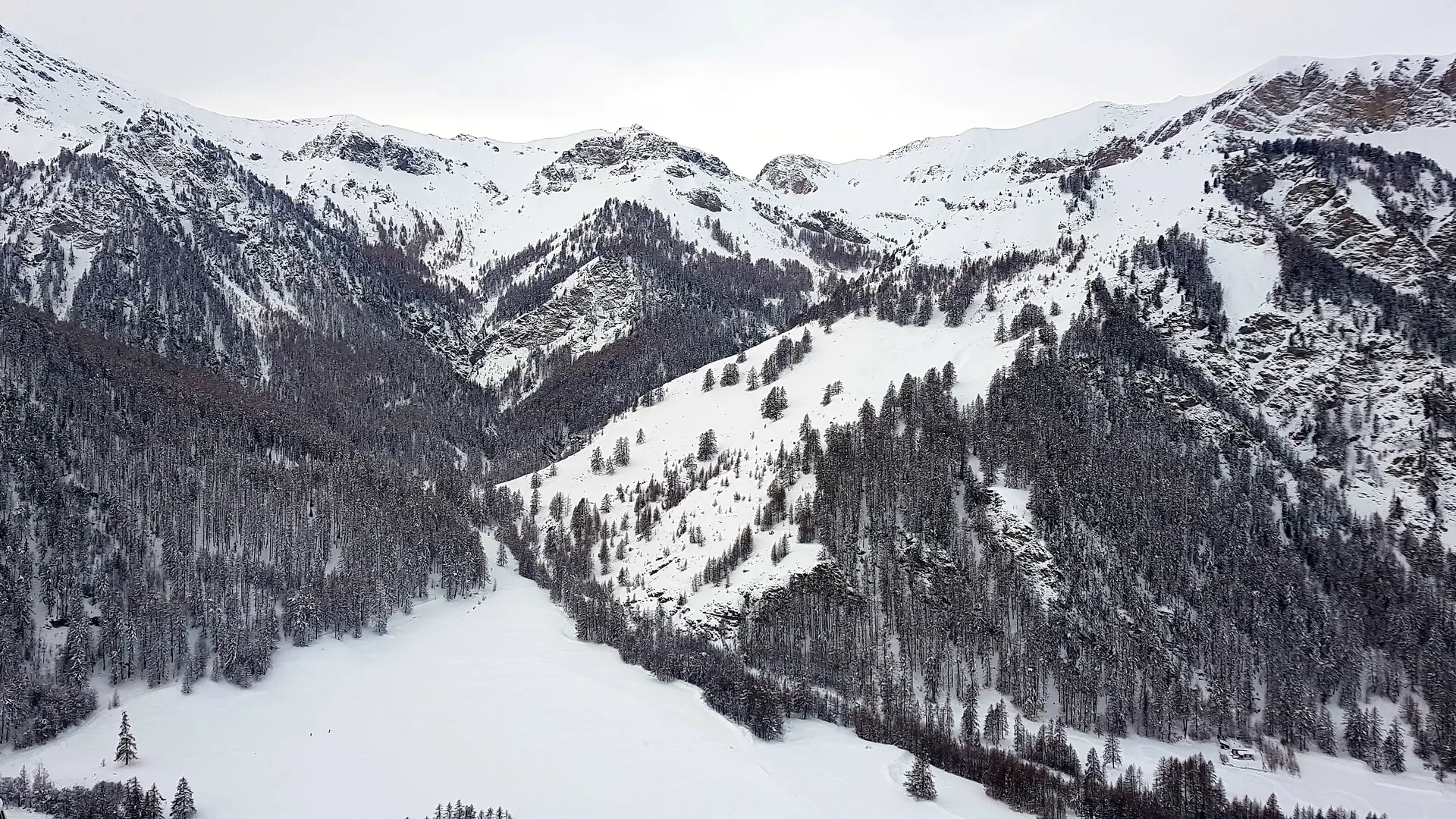 vue de la chambre sapin