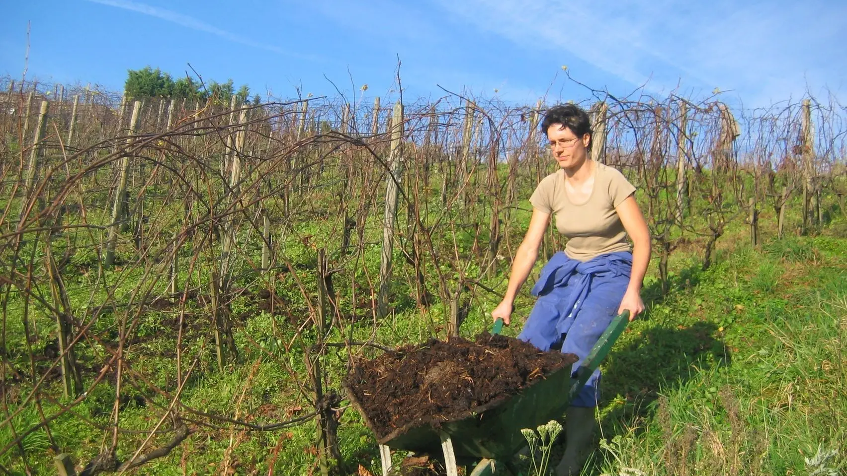 Amendement organique à la brouette