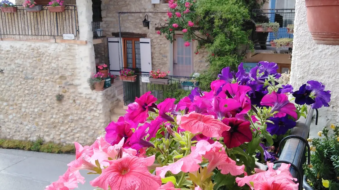 Fleurs balcon