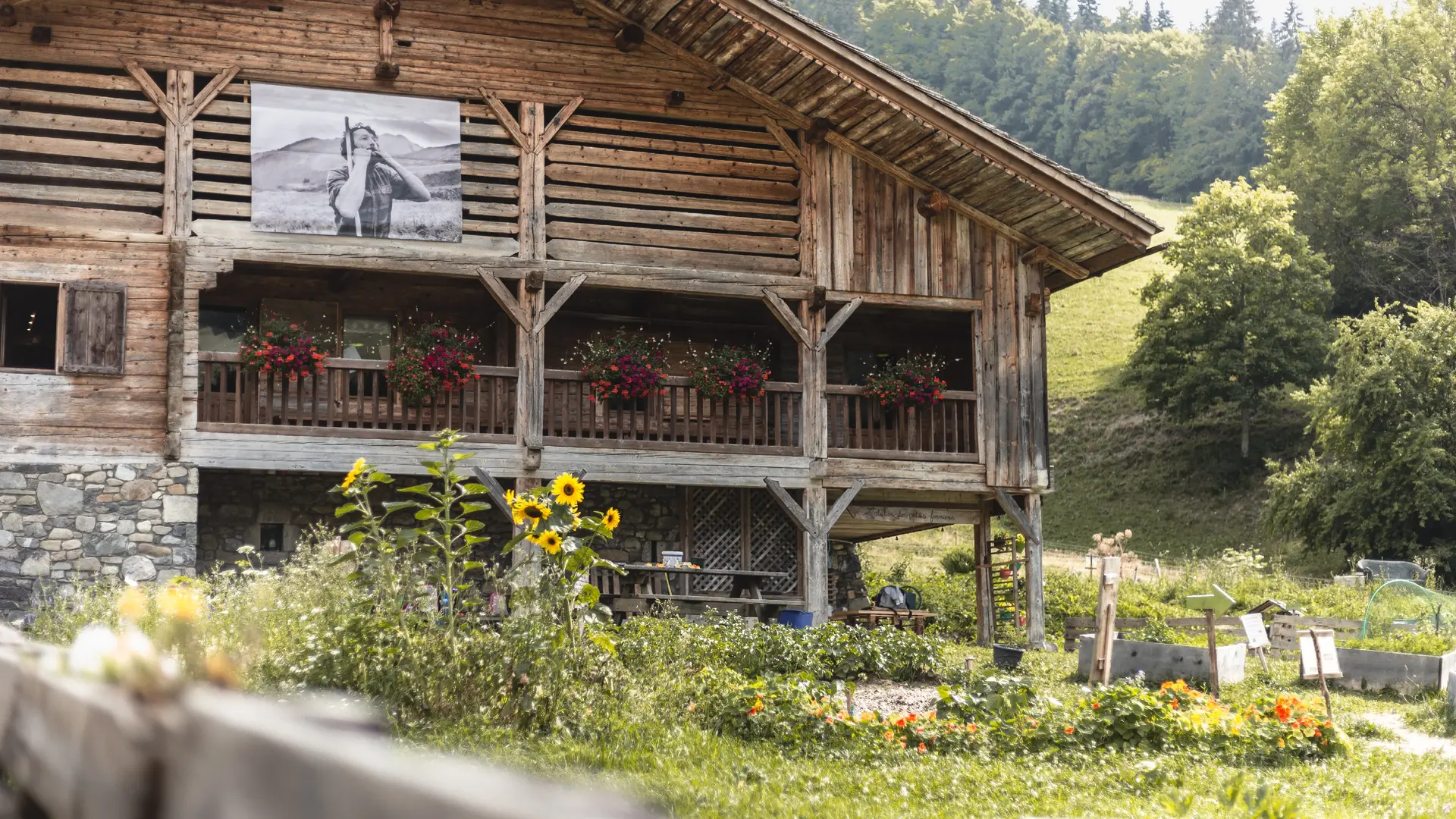 Ferme de la nature au Grand-Bornand