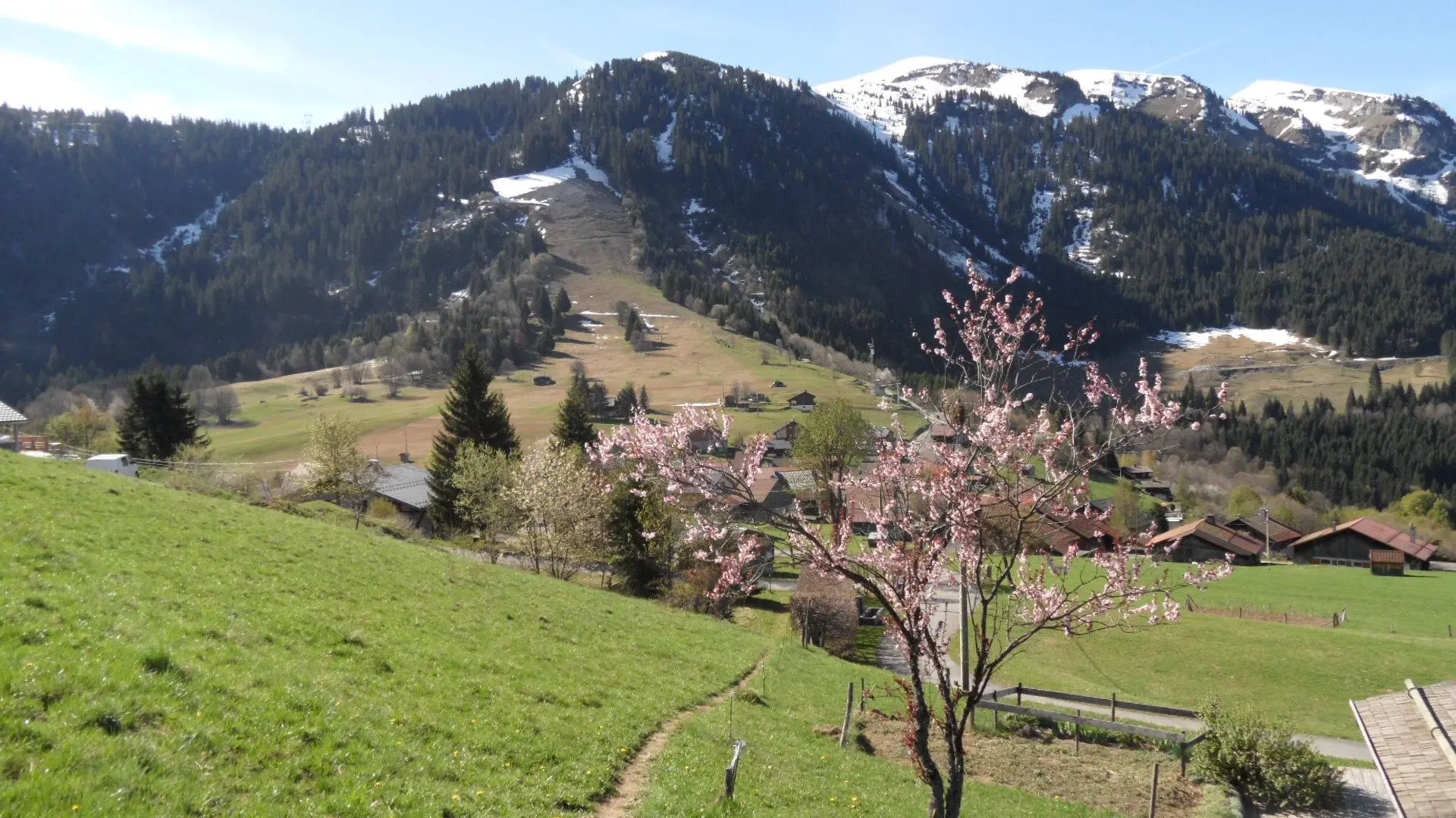 Chemin