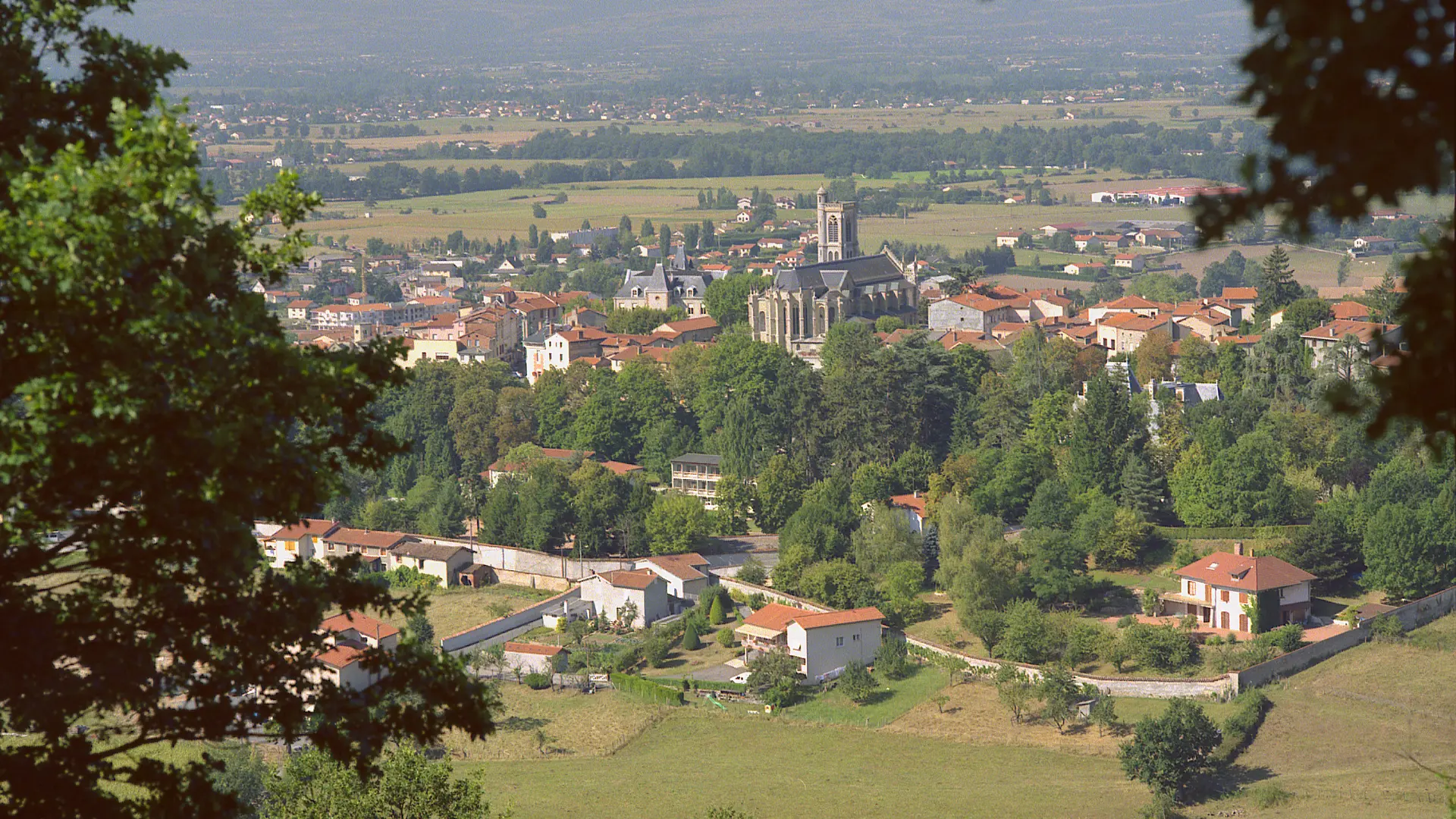 Vue