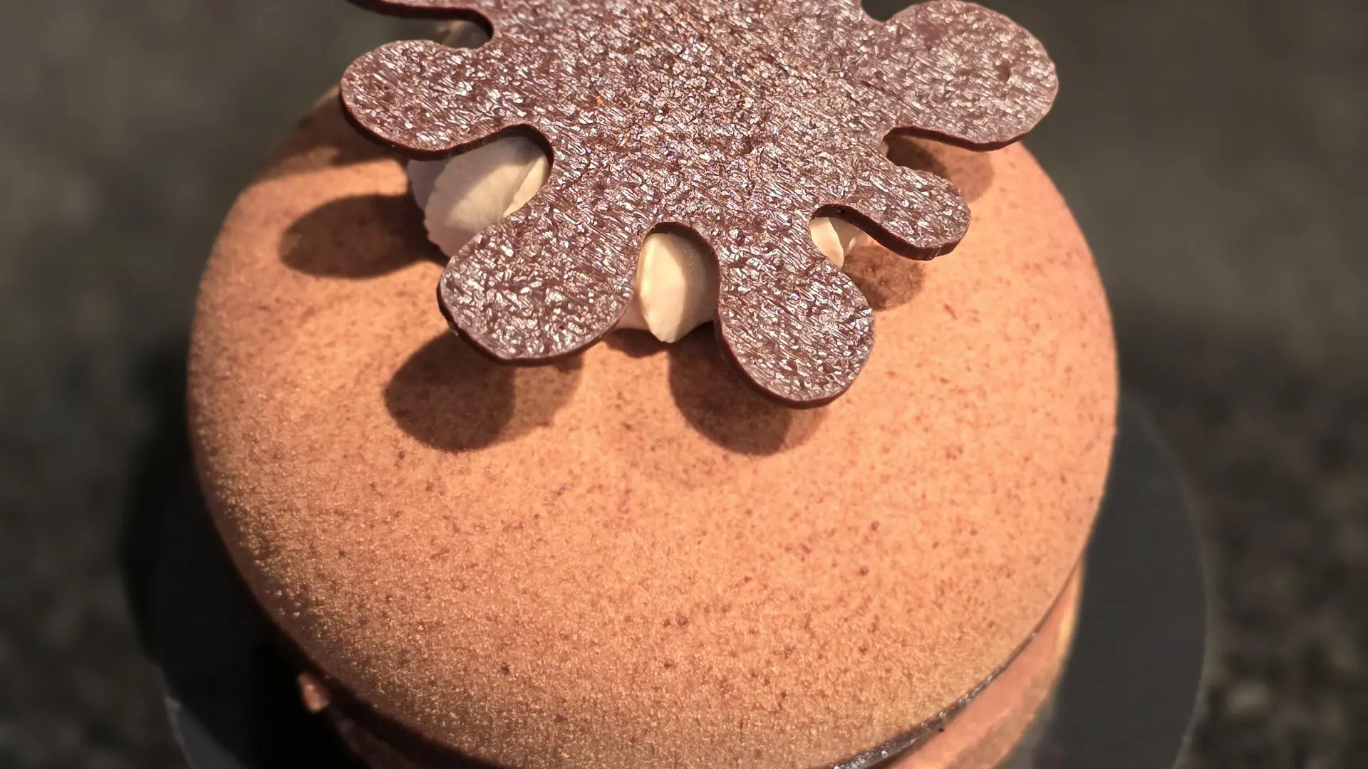 Alexandres chocolatier pâtissier_Montauban