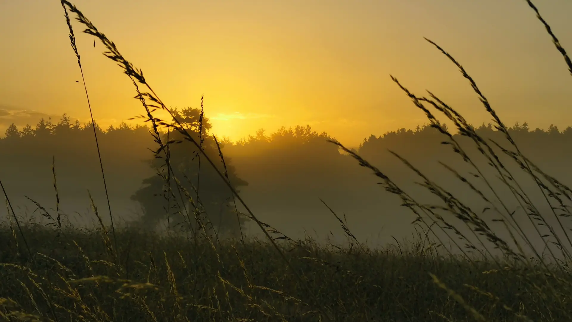 levé de soleil maison longue sur la viafluvia