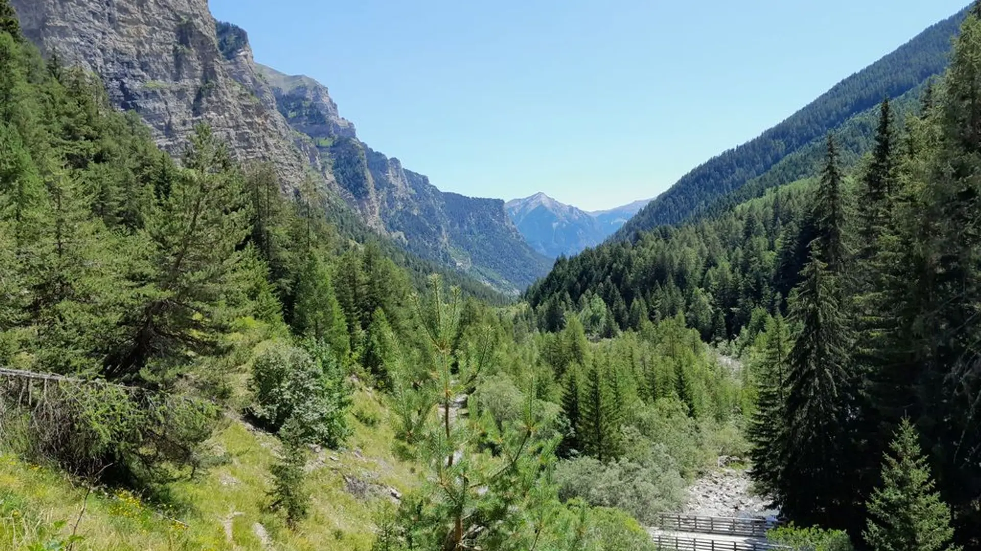La vallée du Rabioux vue depuis le départ de Piebrun