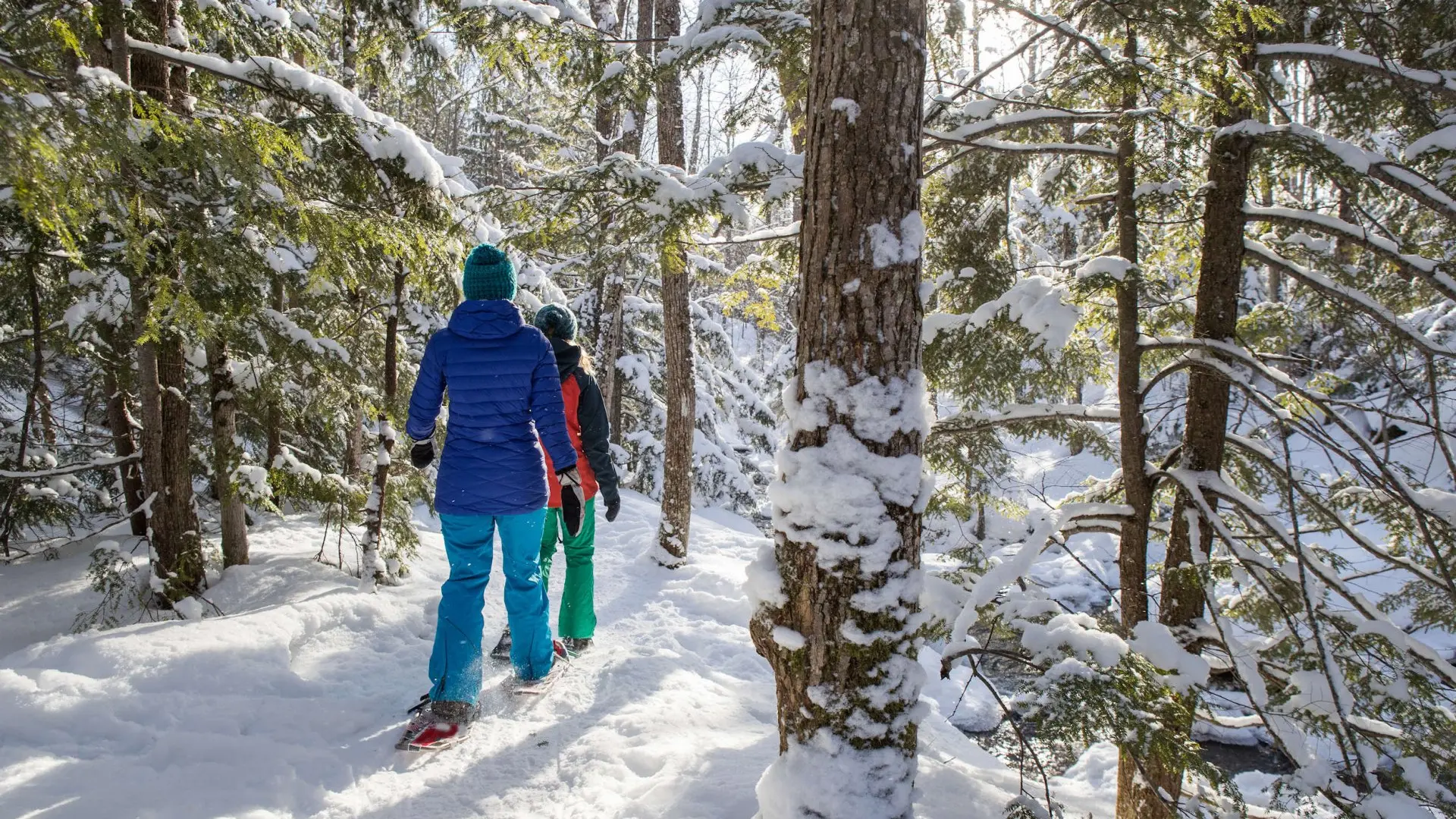 Balade en raquettes sous les sapins enneigés