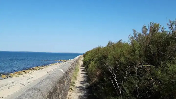 Sur la digue proche de La Couarde