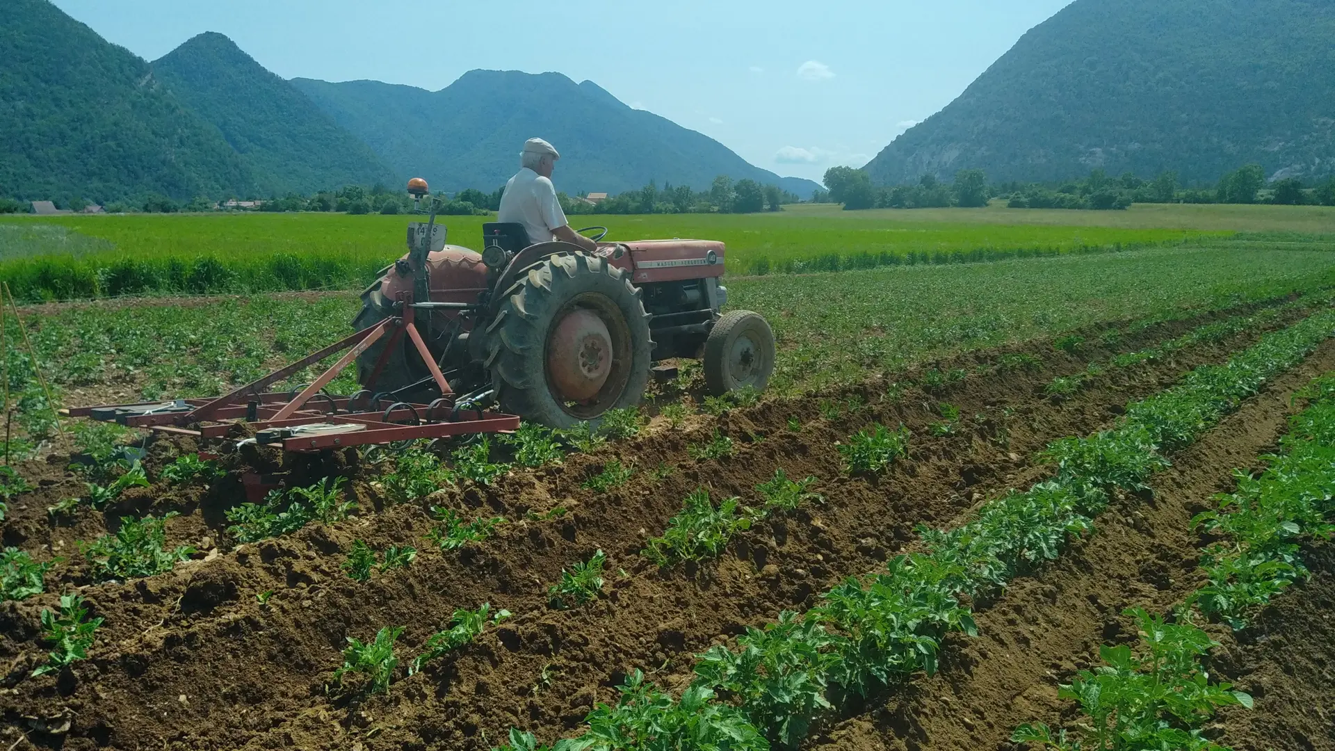 Ferme de La Petite Grange_Montmaur