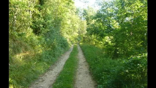 Sentier au-dessus du Musée à CUISIAT