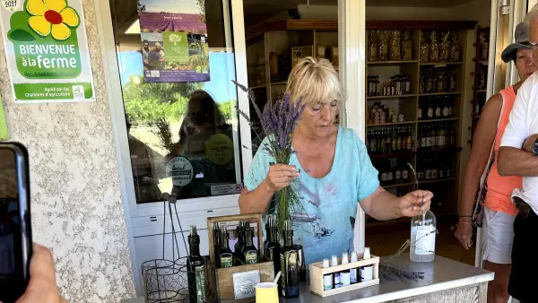 Visit winery and lavender farm