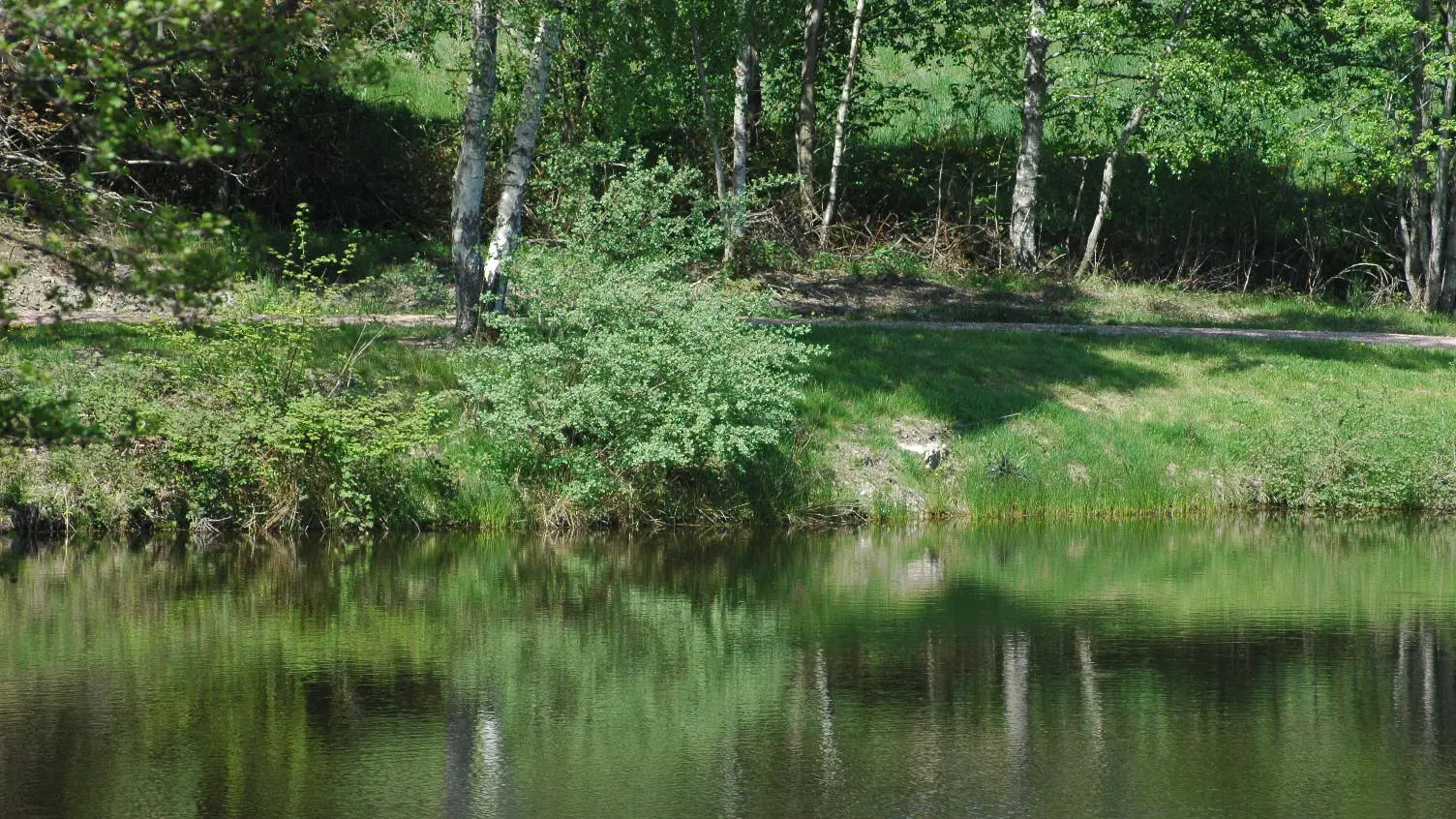 Etang du Charrais