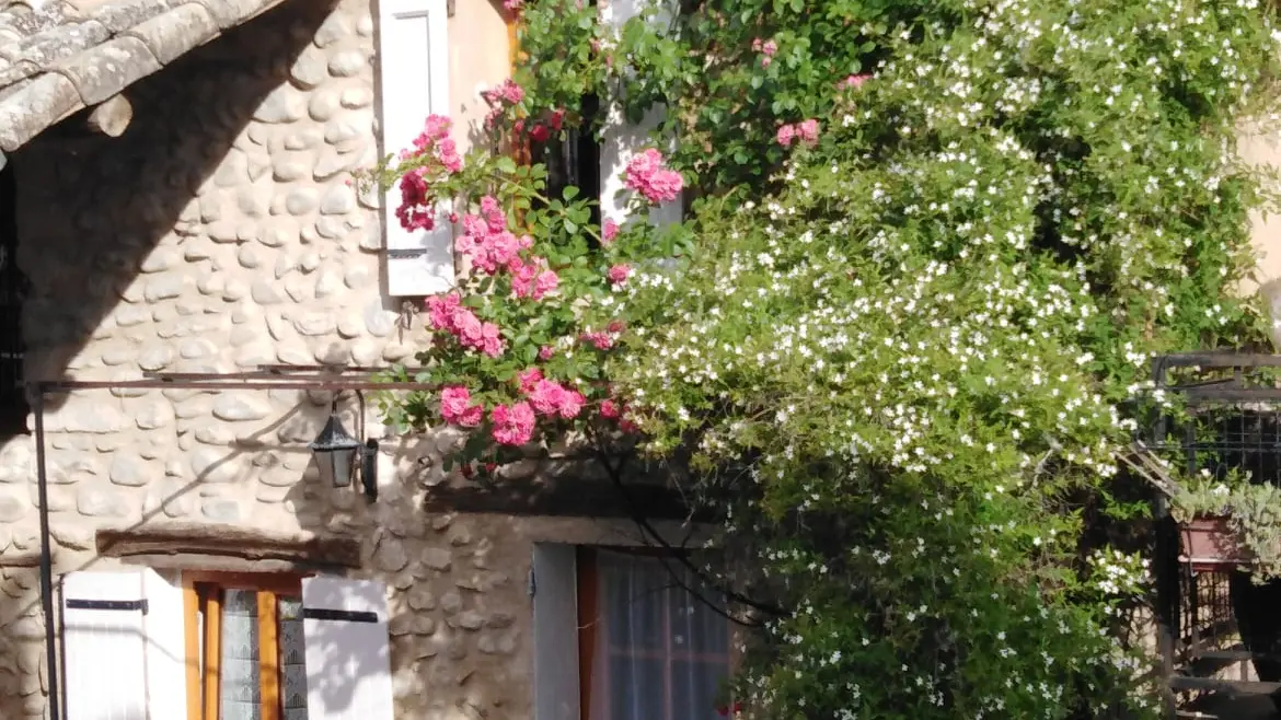 Fleurs façade