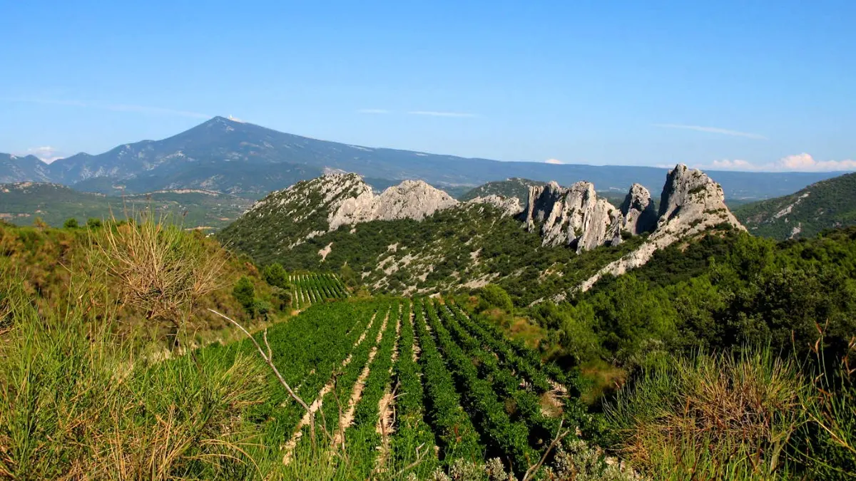 LES DENTELLES DE MONTMIRAIL A GIGONDAS A 23 KM DU DOMAINE