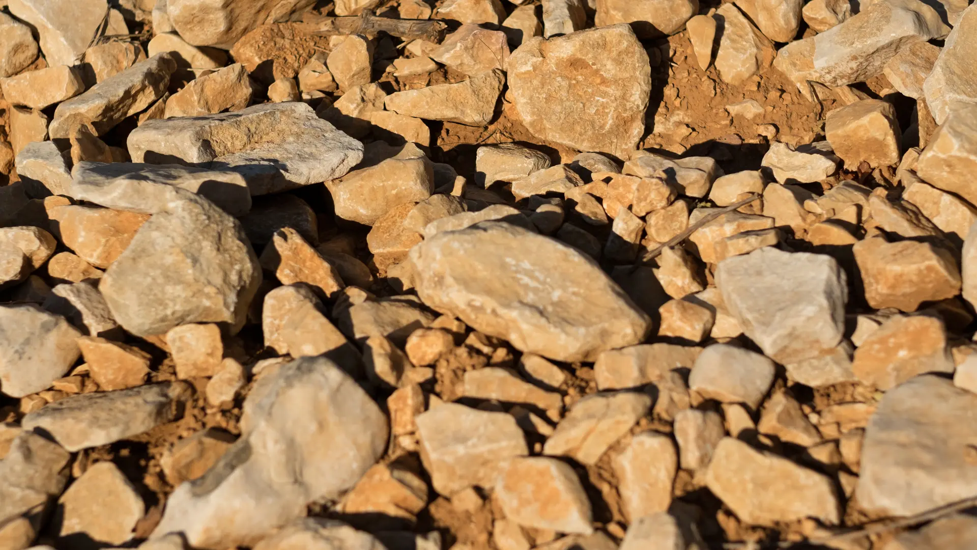 Terroir - Domaine de Grangeneuve