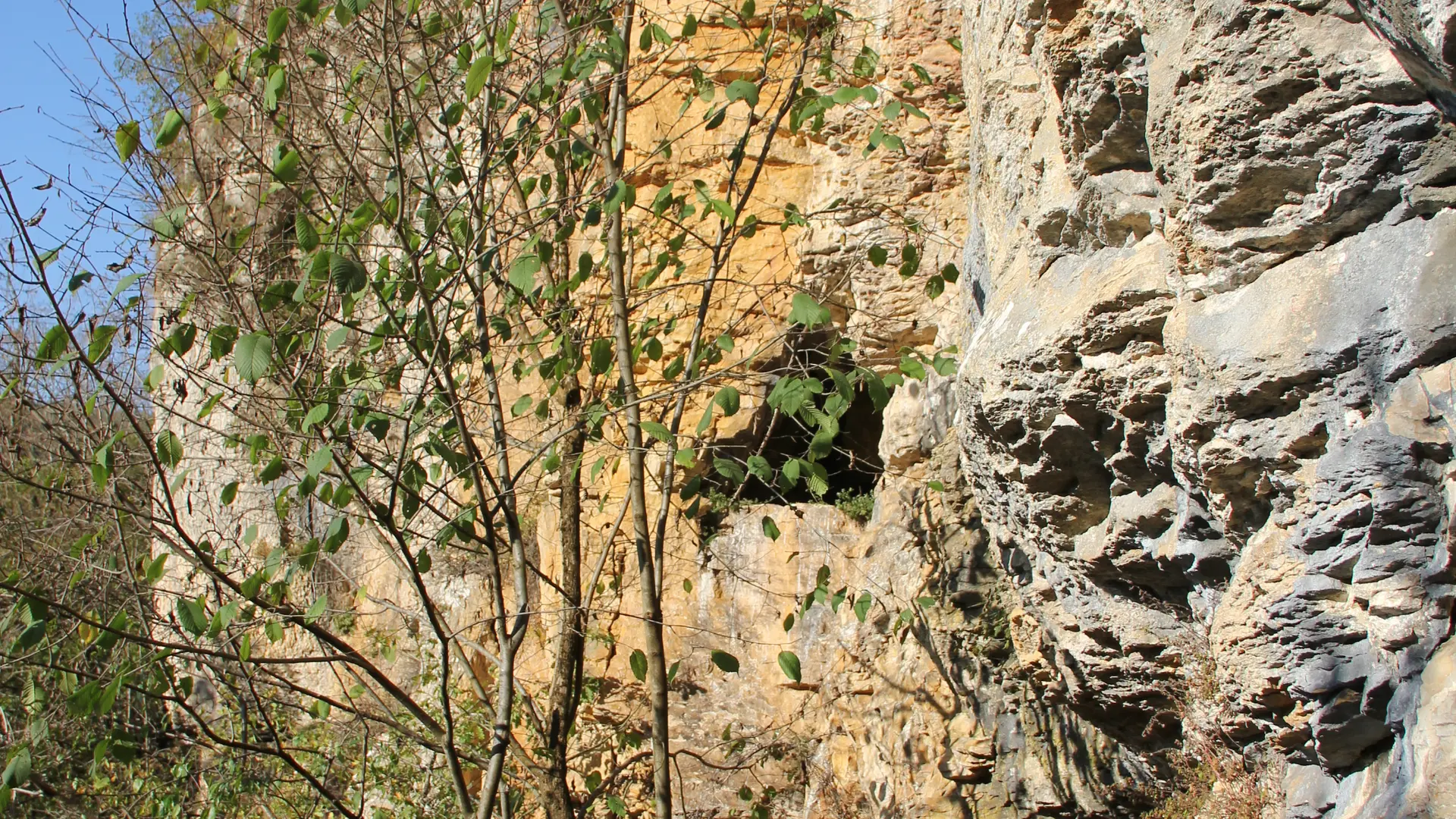 ND de la Roche - Salavre