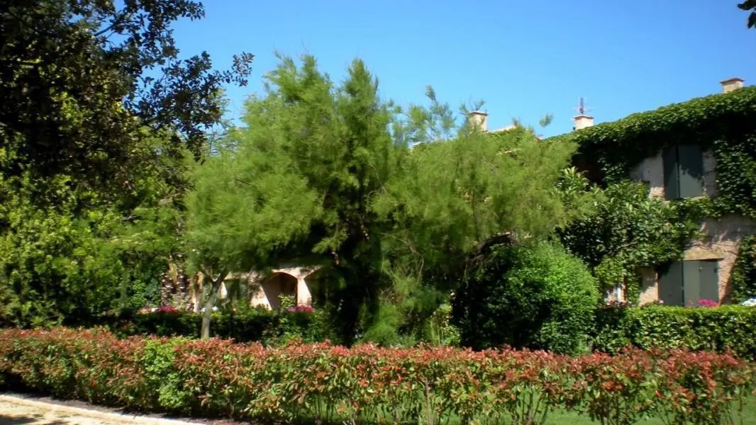 photo8