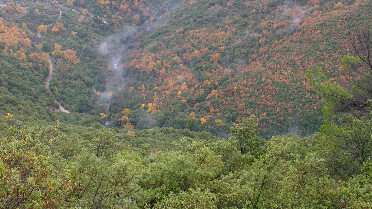 Vue du Baou Gros