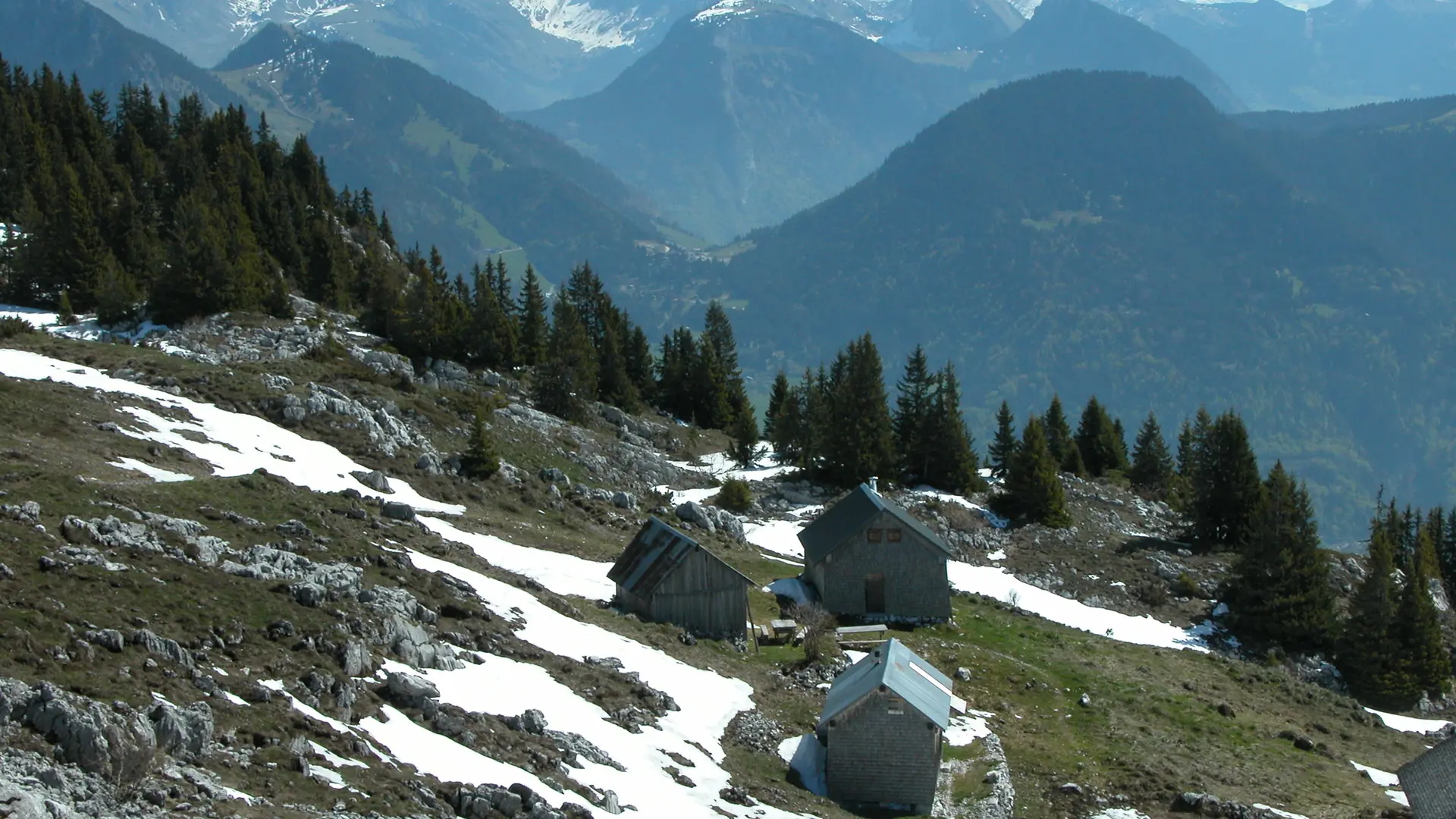 Nifflon d'En Haut