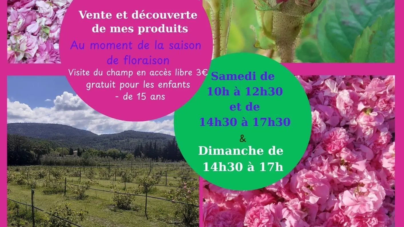 Le Jardin de Nathalie_Saumane-de-Vaucluse évènement mai