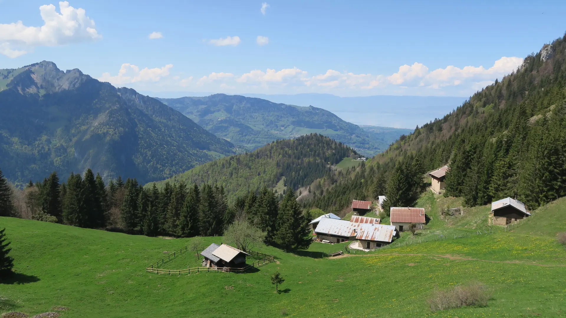 Col de Nicodex - vue sur l'alpage et le Léman