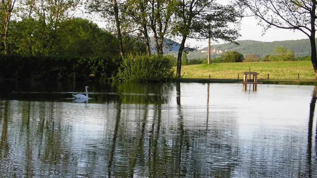 Étang de la Dombes à proximité du gîte
