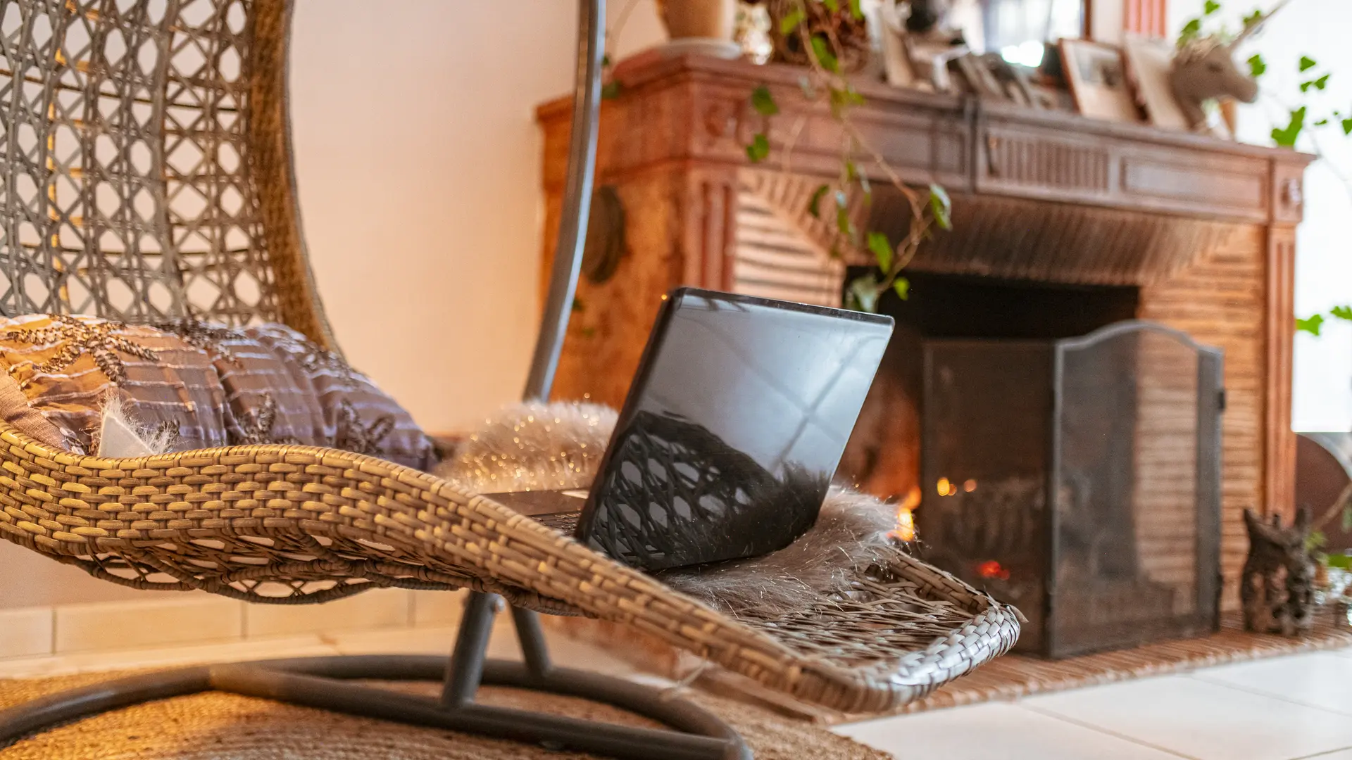 Salon Suite des 2 Tulipiers