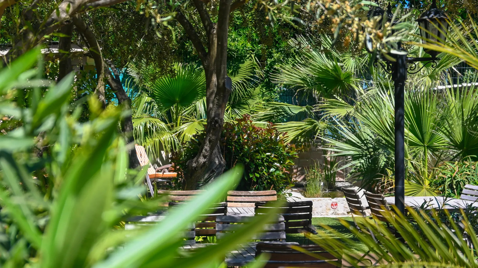 Terrasse Arborée