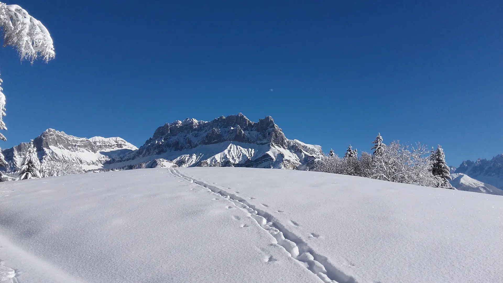 Manteau neigeux immaculé