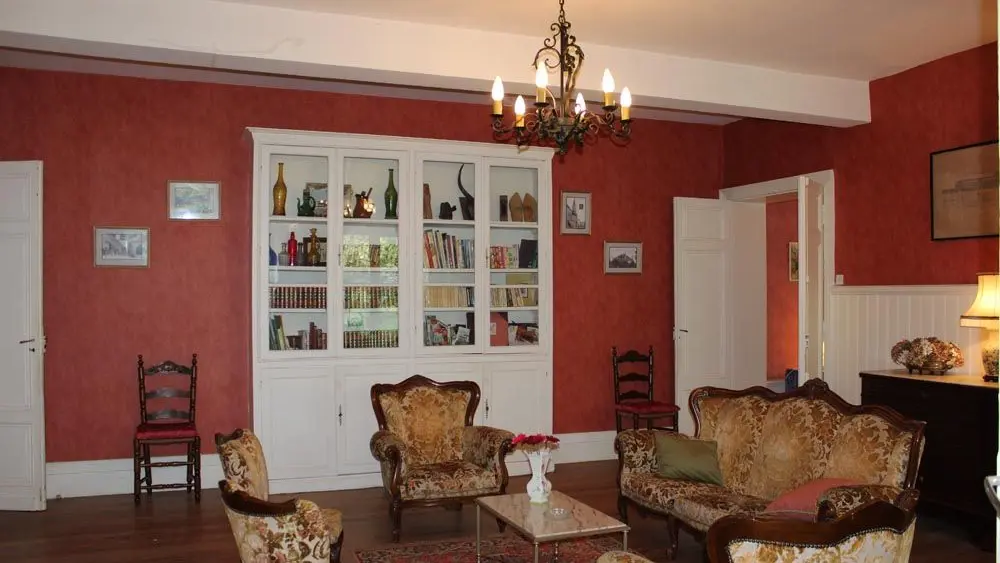 Salon avec bibliothèque