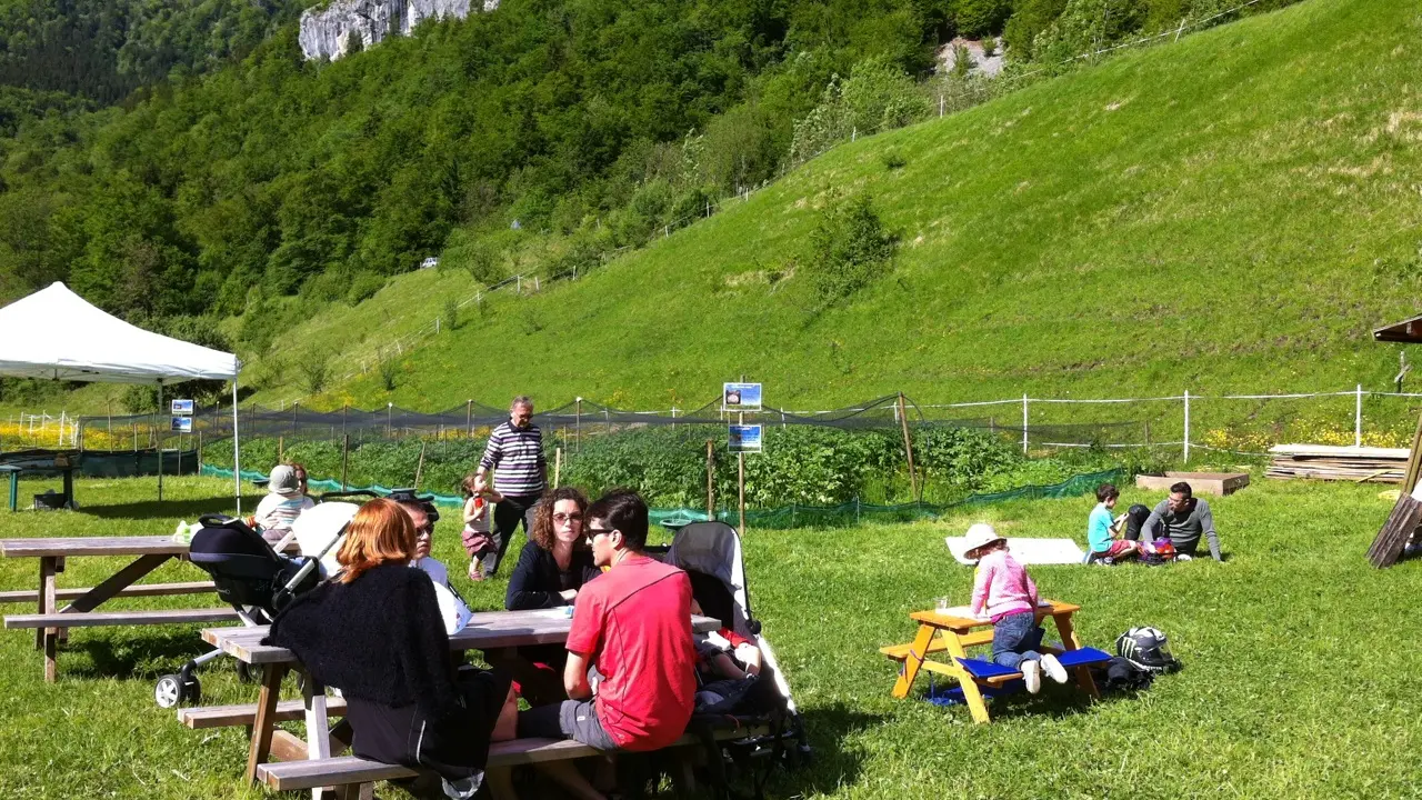 La Ferme aux Escargots d'Arno