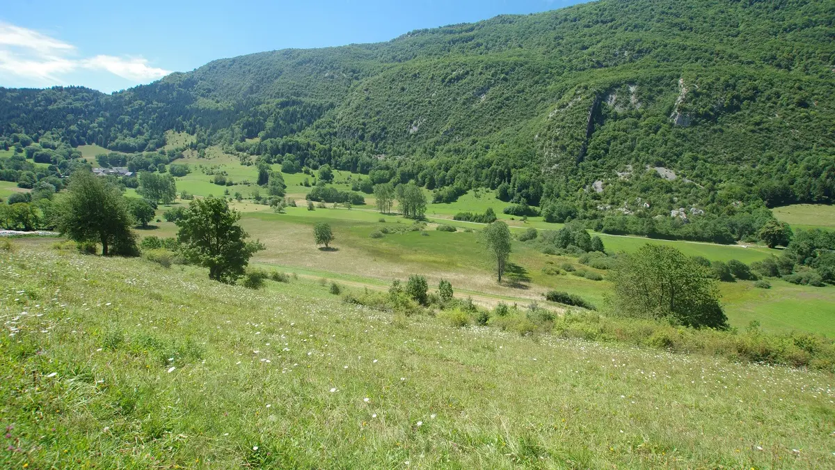 Le marais de Nécuidet