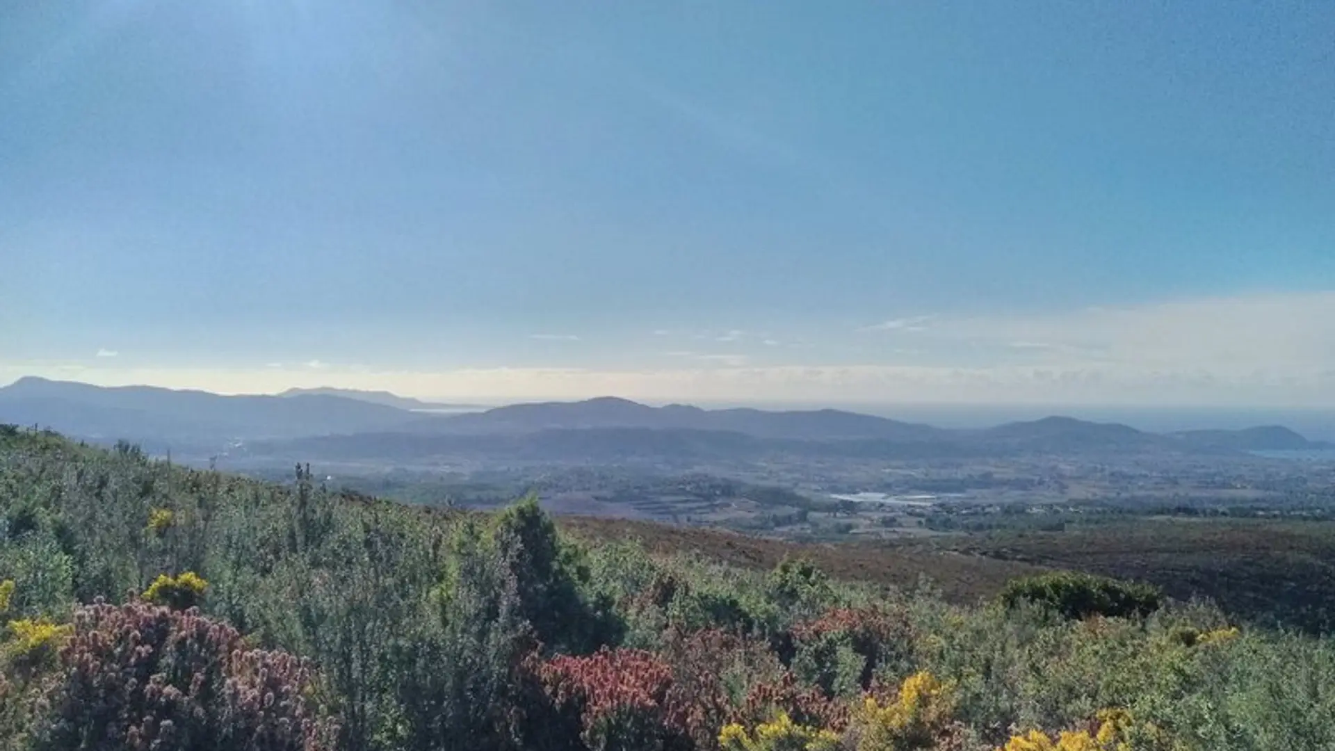 Panorama sur les collines et les massifs forestiers