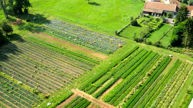 Les Jardins Epicés