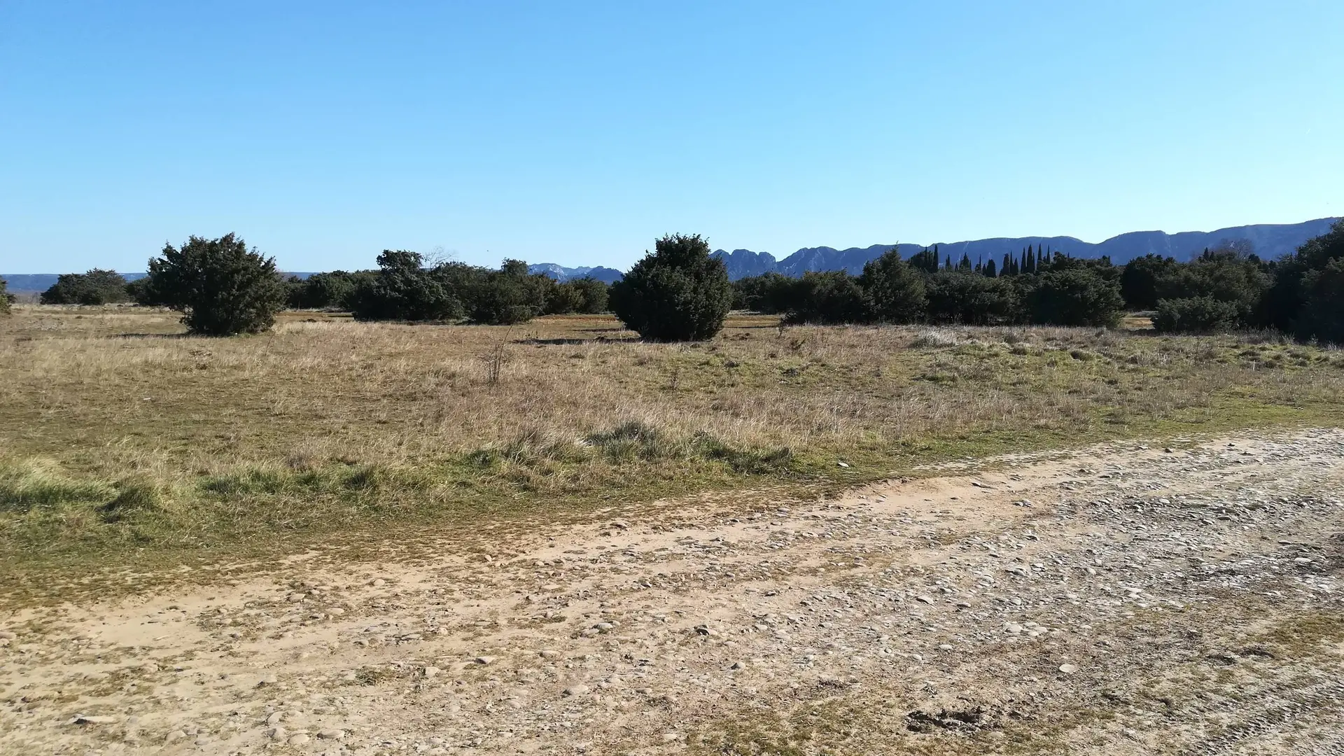 Milieu ouvert de la Petite Crau