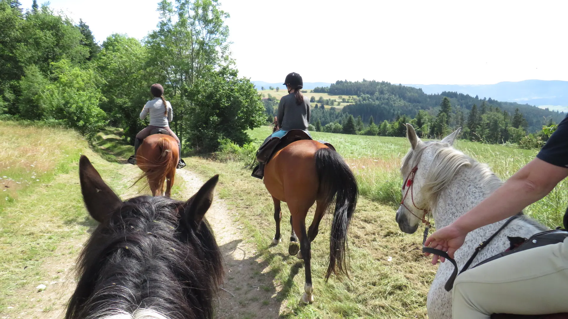 Les Chevaux de Capucine