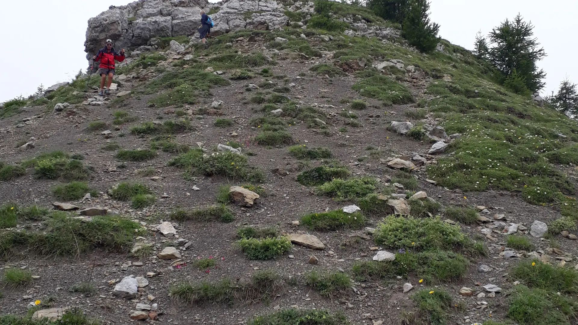 Descente entre sommet et col du Palastre